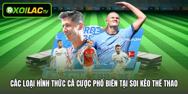 Các loại hình thức cá cược phổ biến tại soi kèo thể thao
