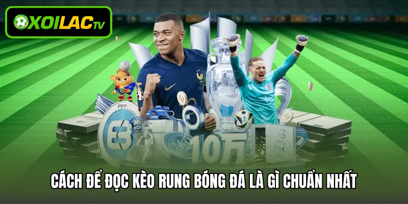 Cách để đọc kèo rung bóng đá là gì chuẩn nhất