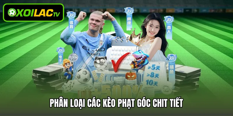 Phân loại các kèo phạt góc chit tiết