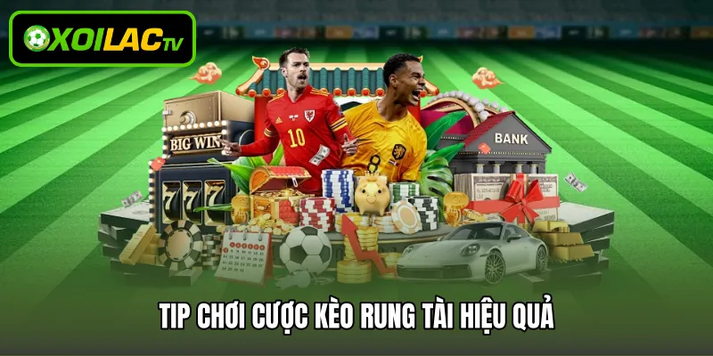 Tip chơi cược kèo rung tài hiệu quả